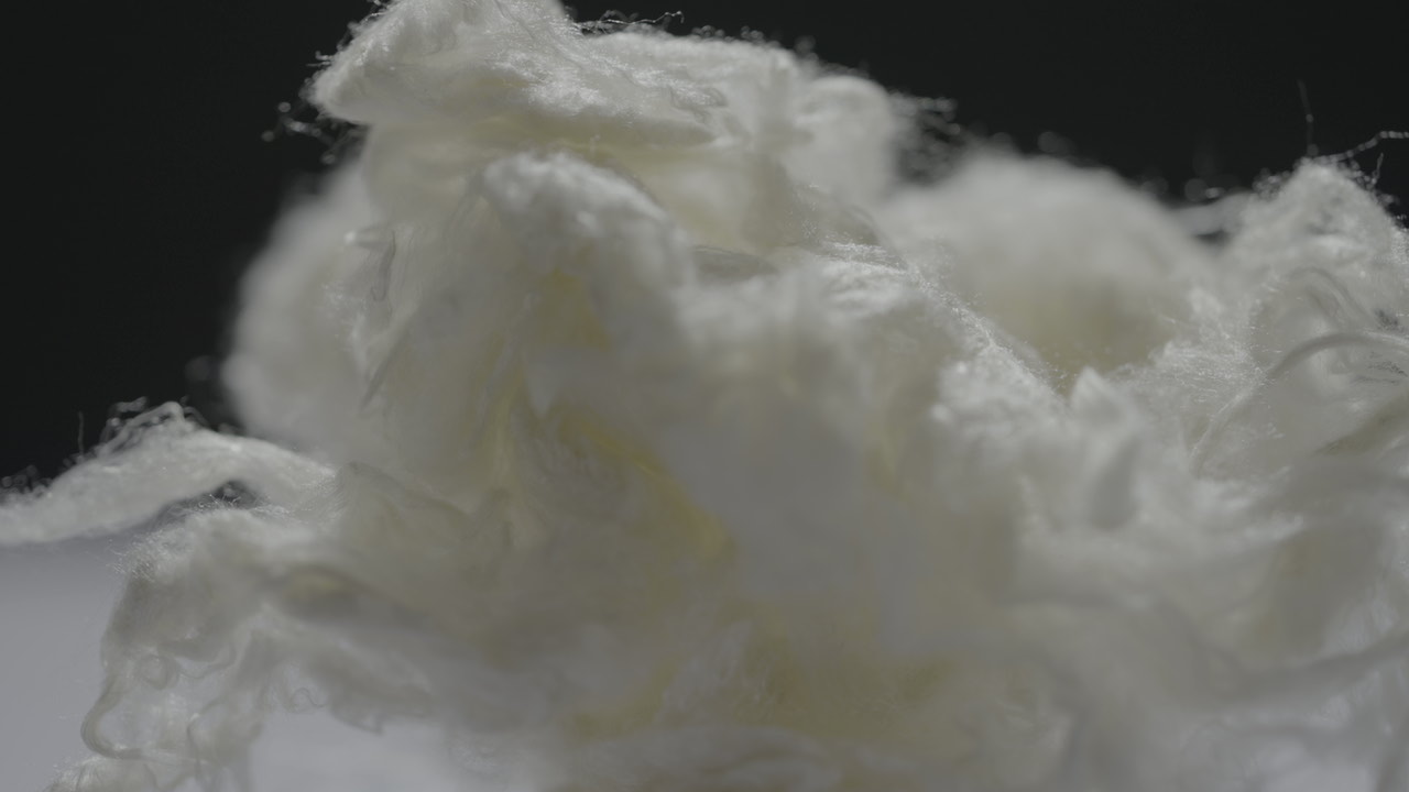 凤凰同盟平台注册·(唯一)官方网站